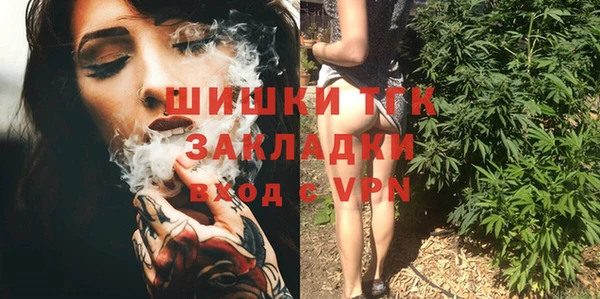 Альфа ПВП Гусев