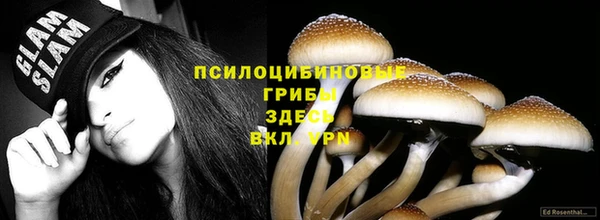 Альфа ПВП Гусев