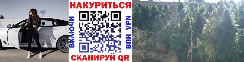 Бошки Шишки LSD WEED  купить   Малмыж 